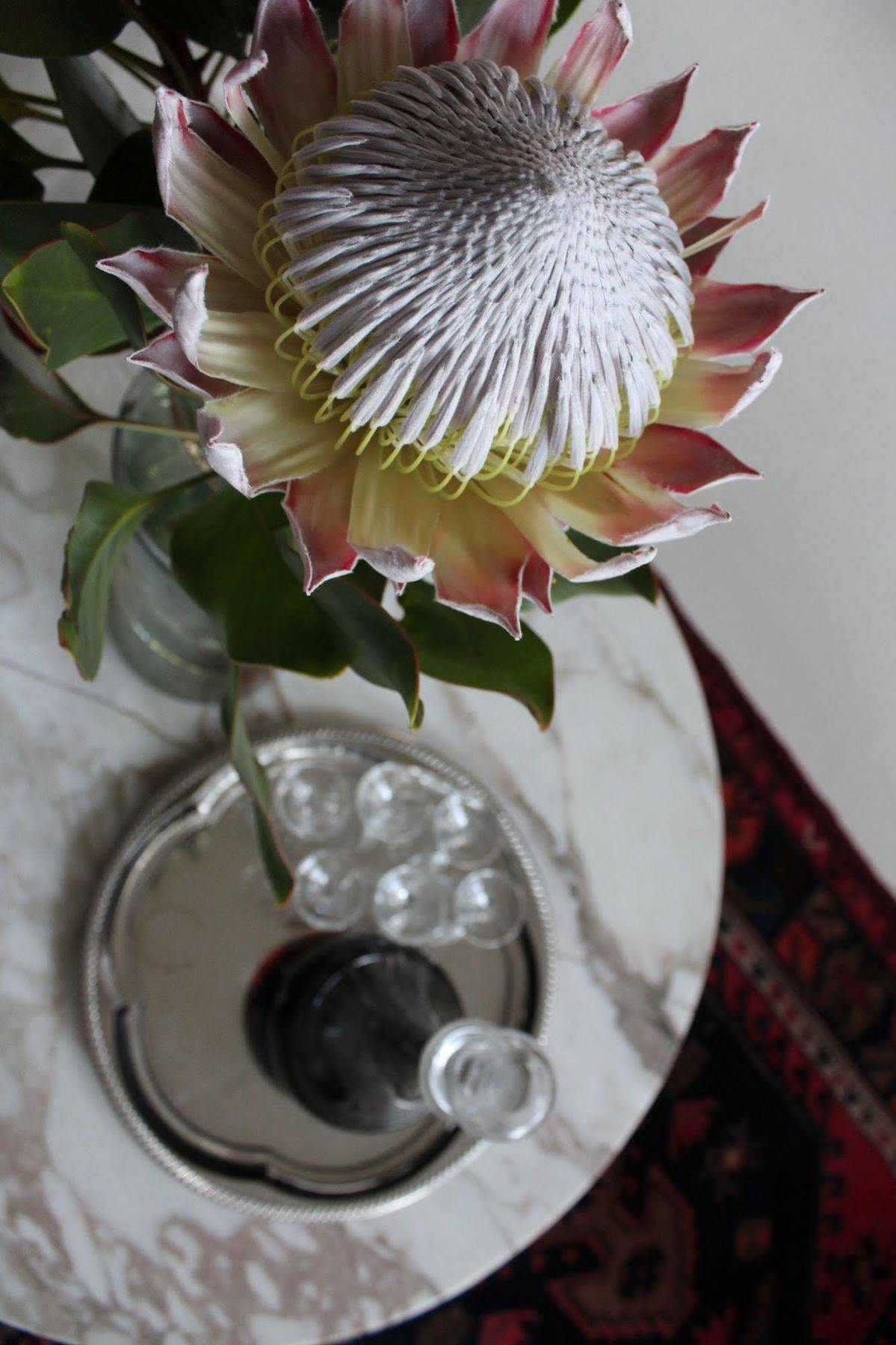 Cape Pillars Boutique Hotel Durbanville Dış mekan fotoğraf
